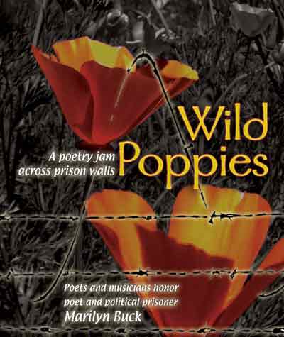 Wild Poppies poetry CD cover